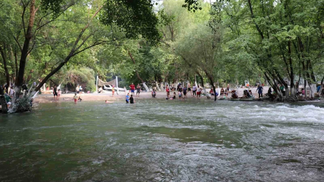 Bozdoğan'daki piknik alanı sıcak yaz günlerinde serinletiyor