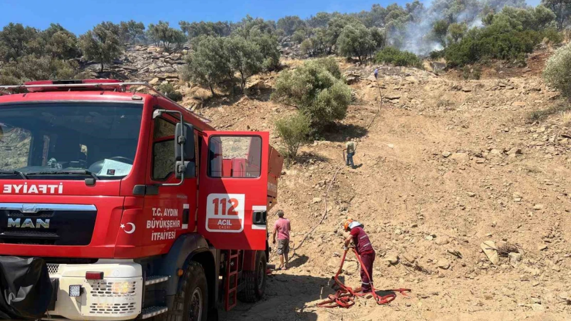 Bozdoğan'daki zirai alan yangını söndürüldü