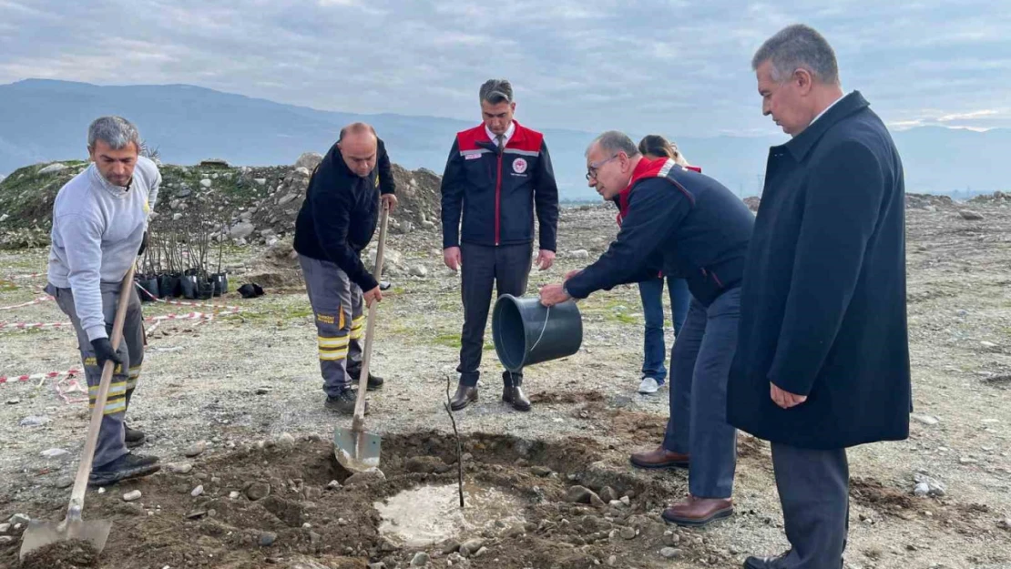 Buharkent'te 'Kaliteli İncir, Kaliteli İlek' projesi kapsamında fidan dikimi gerçekleştirildi