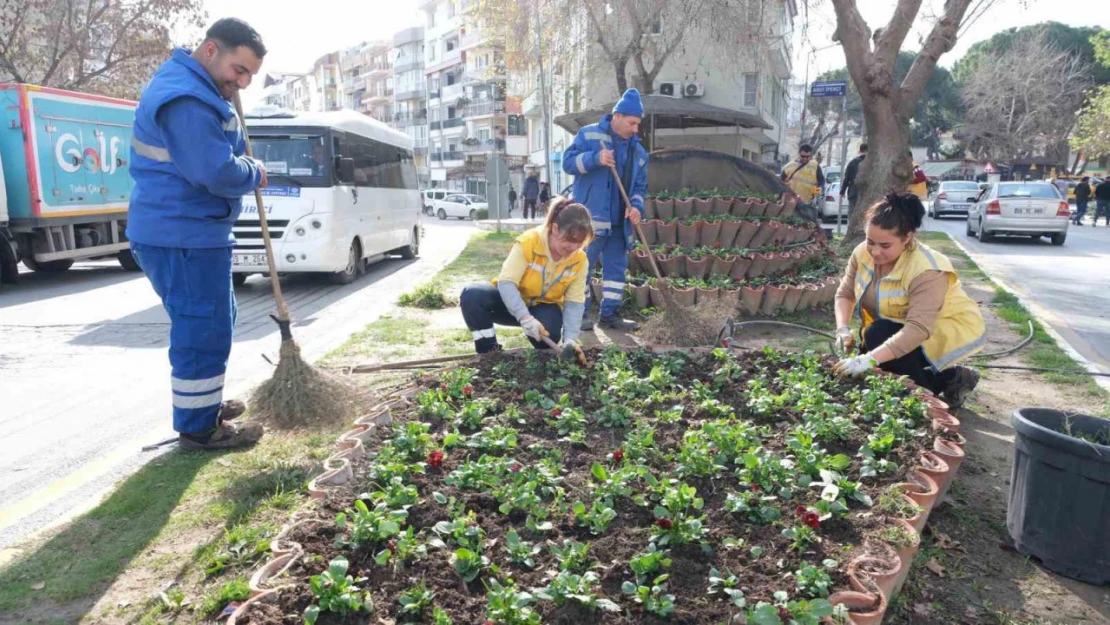 Büyükşehir'in çiçekleri Söke'yi renklendirdi