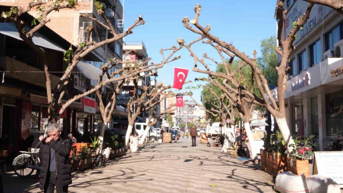 Büyükşehir İncirliova'da ağaçları budadı, vatandaşlar rahat bir nefes aldı