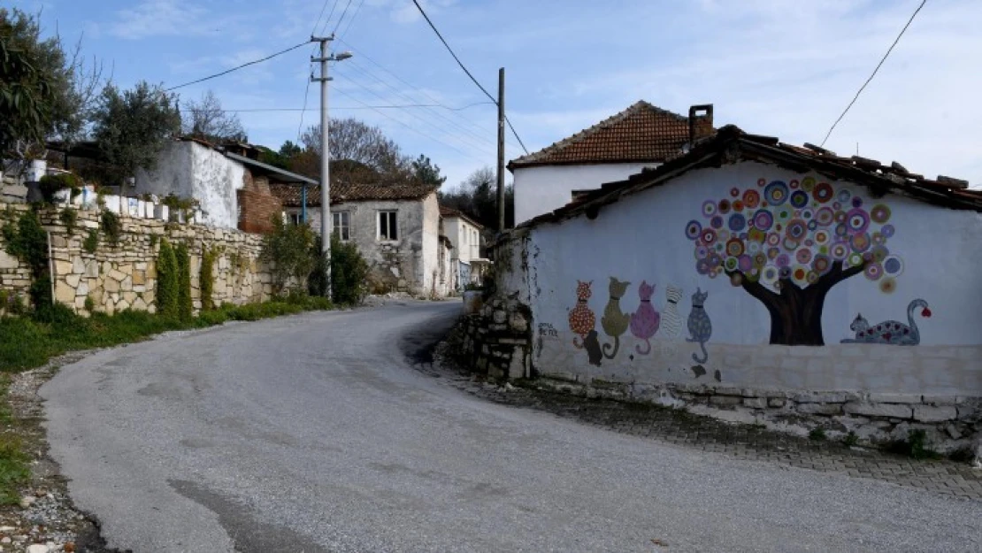Caferli Mahallesi'nde şenlik var