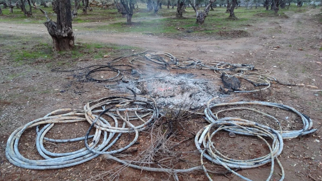 Çaldıkları enerji kablolarını yakınca yakalandılar