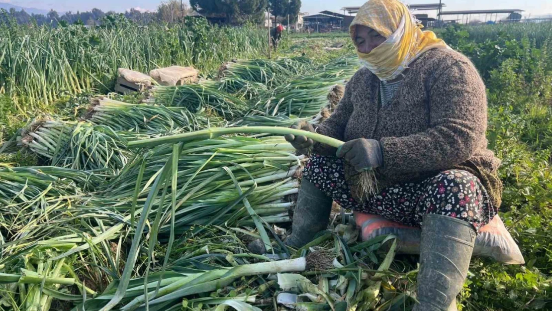 Çalışarak sağlığını koruyor ve ekonomik refahını sağlıyor