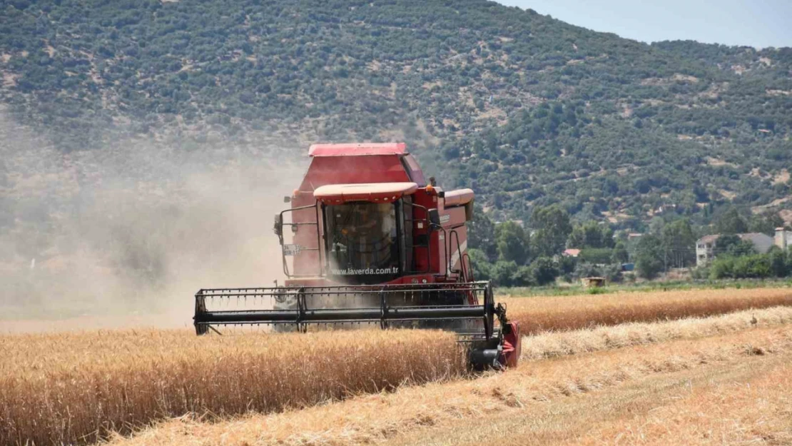 Çiftçilerden hayvan üreticilerine kritik uyarı: 'Elinizi Çabuk Tutun'