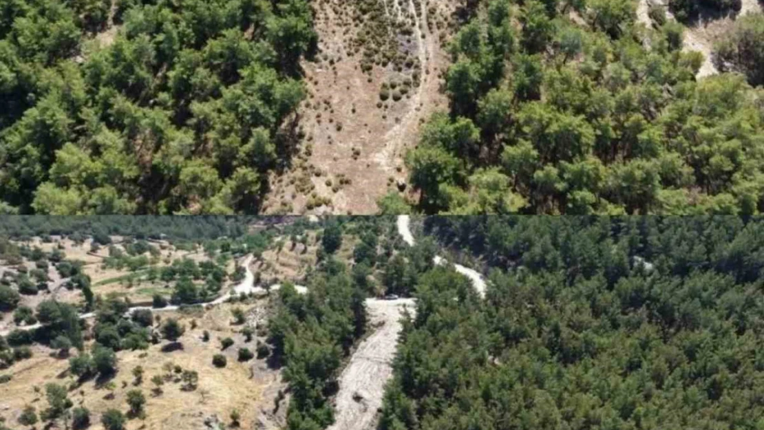 Çine'de orman yangınlarına karşı önleyici temizlik çalışması yapıldı