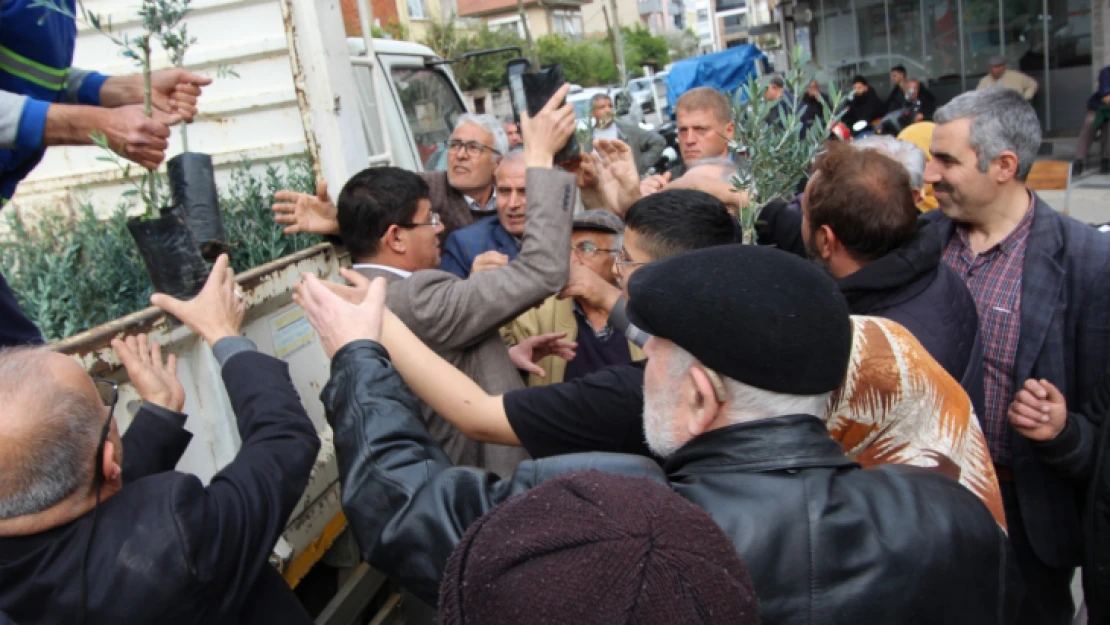 Cumhuriyet'in 100. yılında doğaya 100 zeytin fidanı armağan edildi