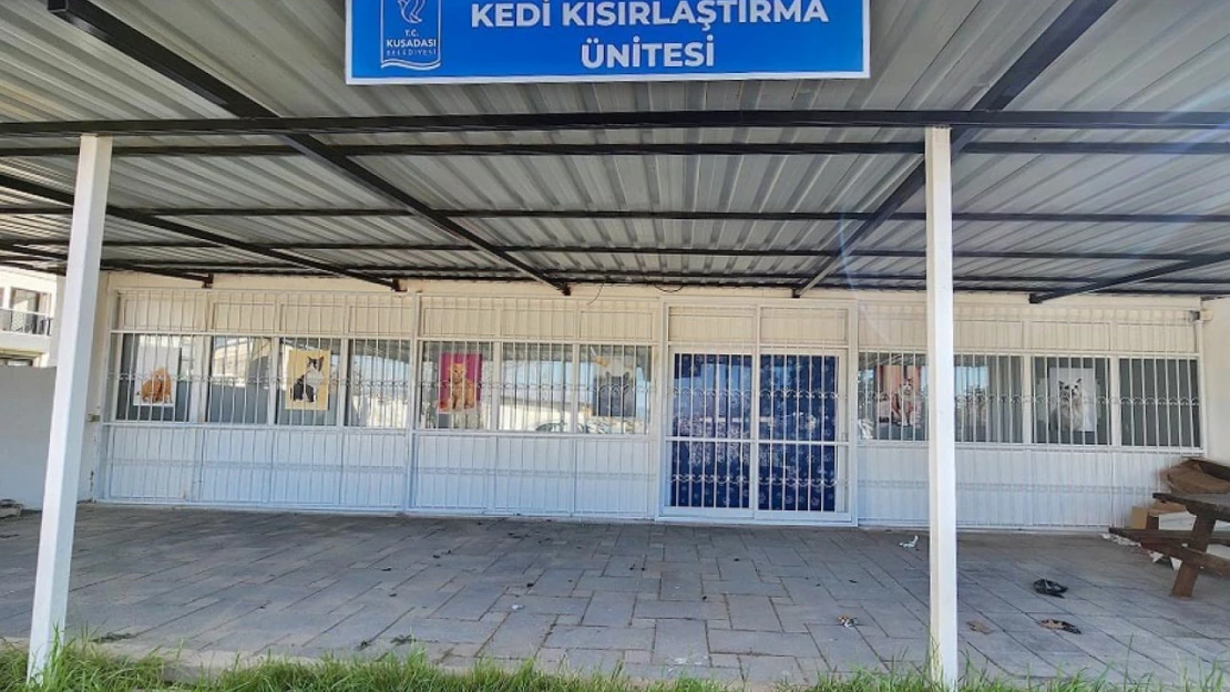 Davutlar Mahallesi'ne kedi kısırlaştırma merkezi açılıyor