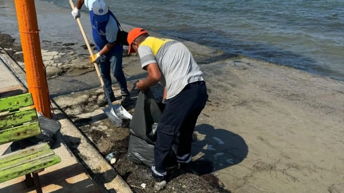 Didim Belediyesi Mavişehir Sahili'ni temizledi