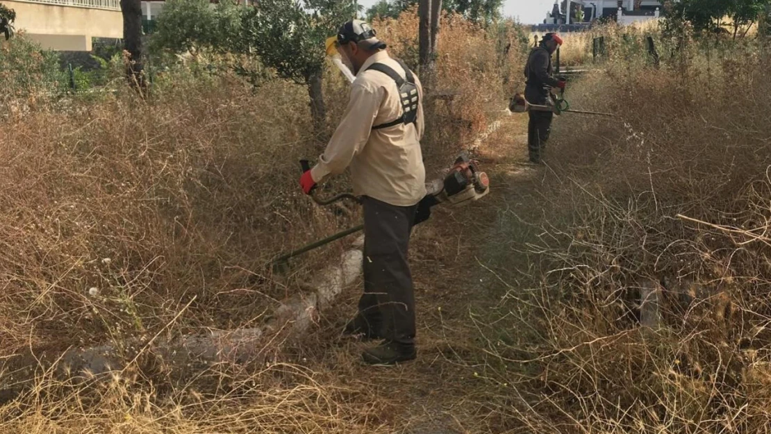 Didim Belediyesi'nden 'kuru ot' seferberliği