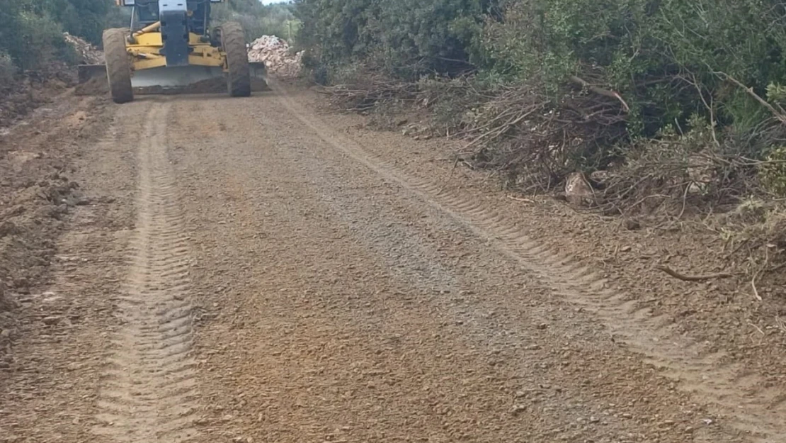 Didim Belediyesi, üreticinin yanında olmaya devam ediyor