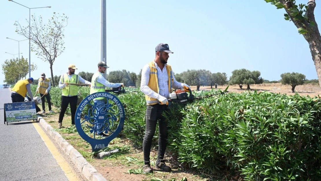 Didim'de çevre ve peyzaj düzenlemesi gerçekleştirildi