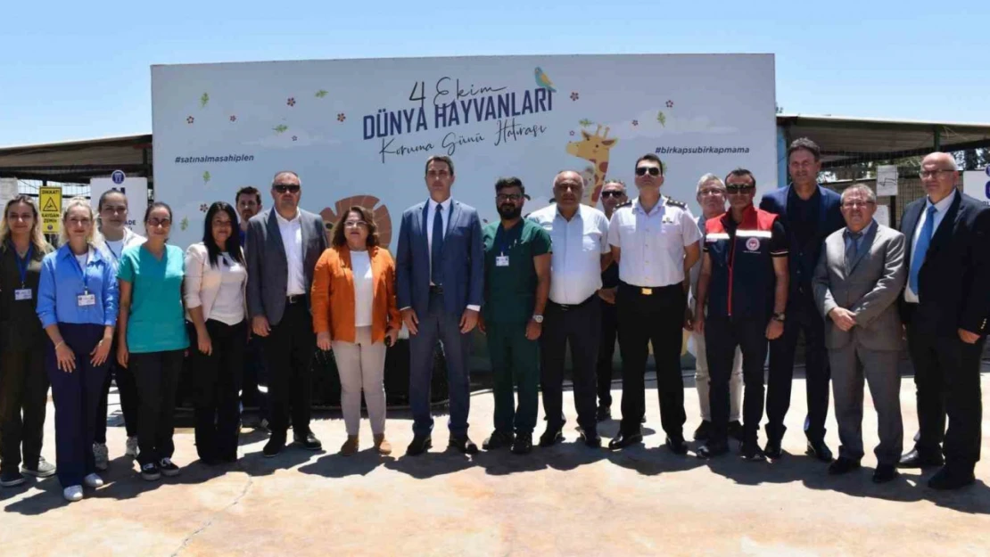 Didim'de hayvan barınağı denetlendi
