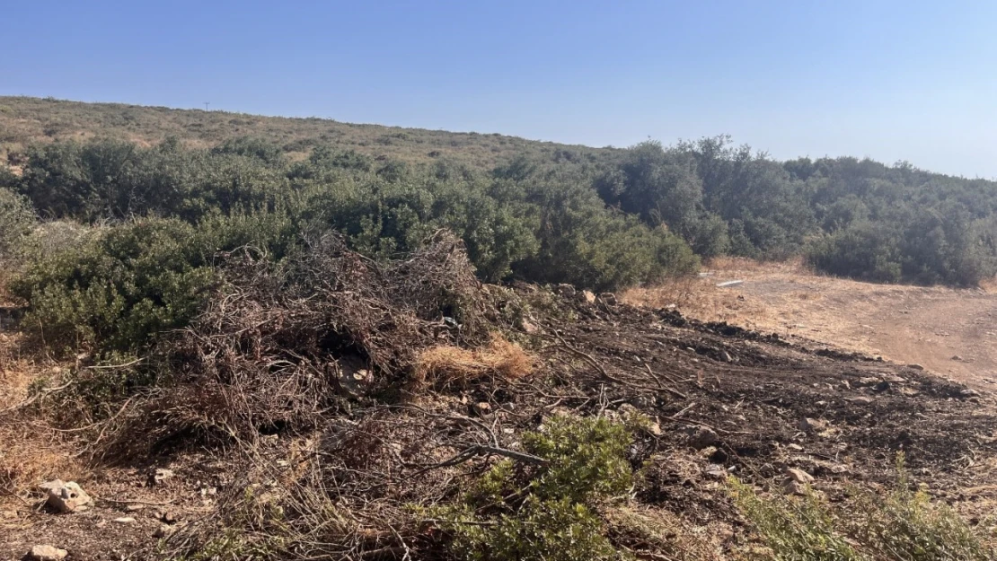 Didim'de hazine arazisinde izinsiz yer açan şahıs jandarmaya takıldı