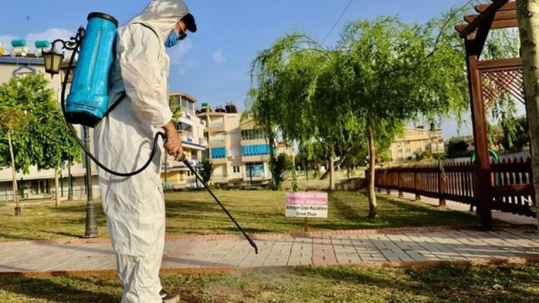 Didim'de ilaçlama çalışmaları sürüyor