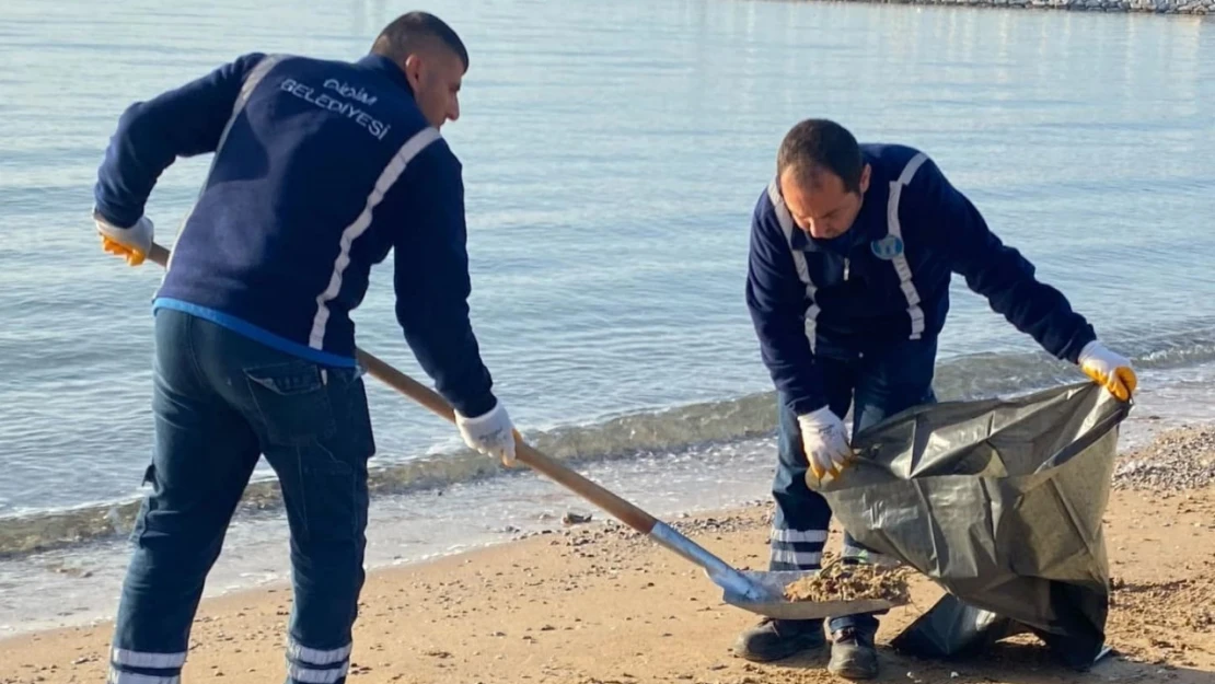 Didim'de Lodos'un izleri siliniyor