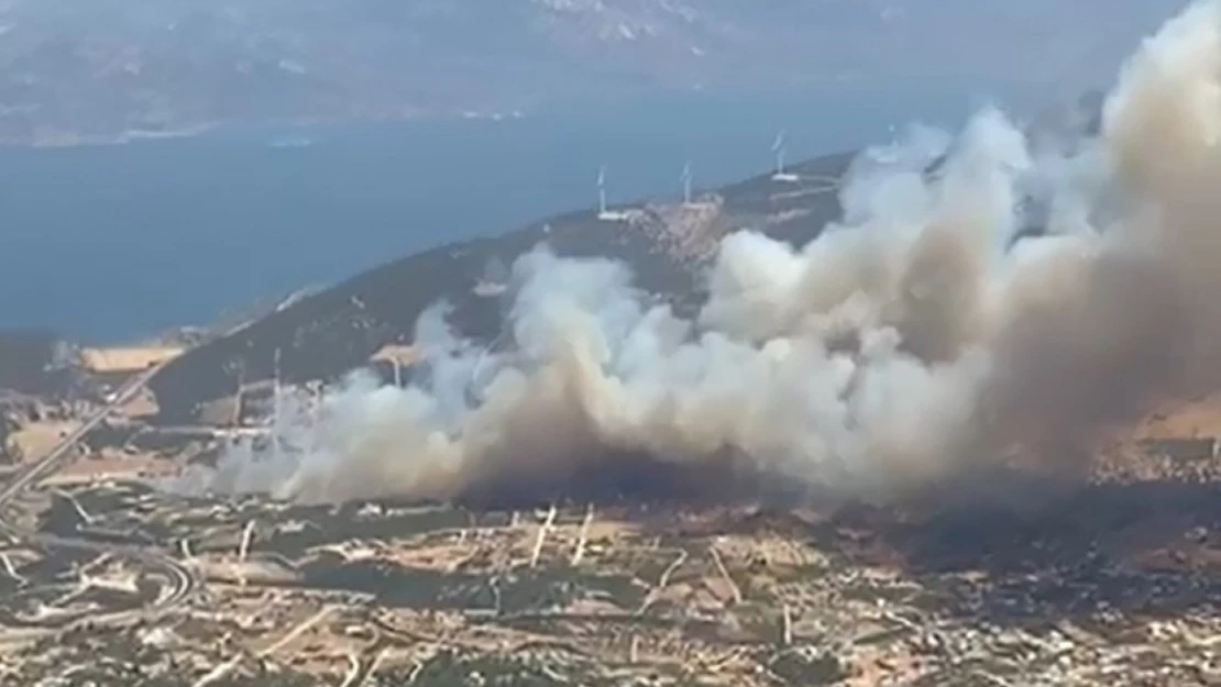 Didim'de makilik alanda yangın