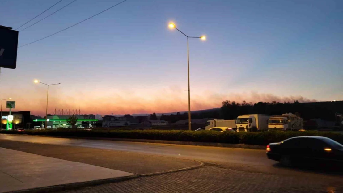 Didim'de makilik yangını orman sıçradı