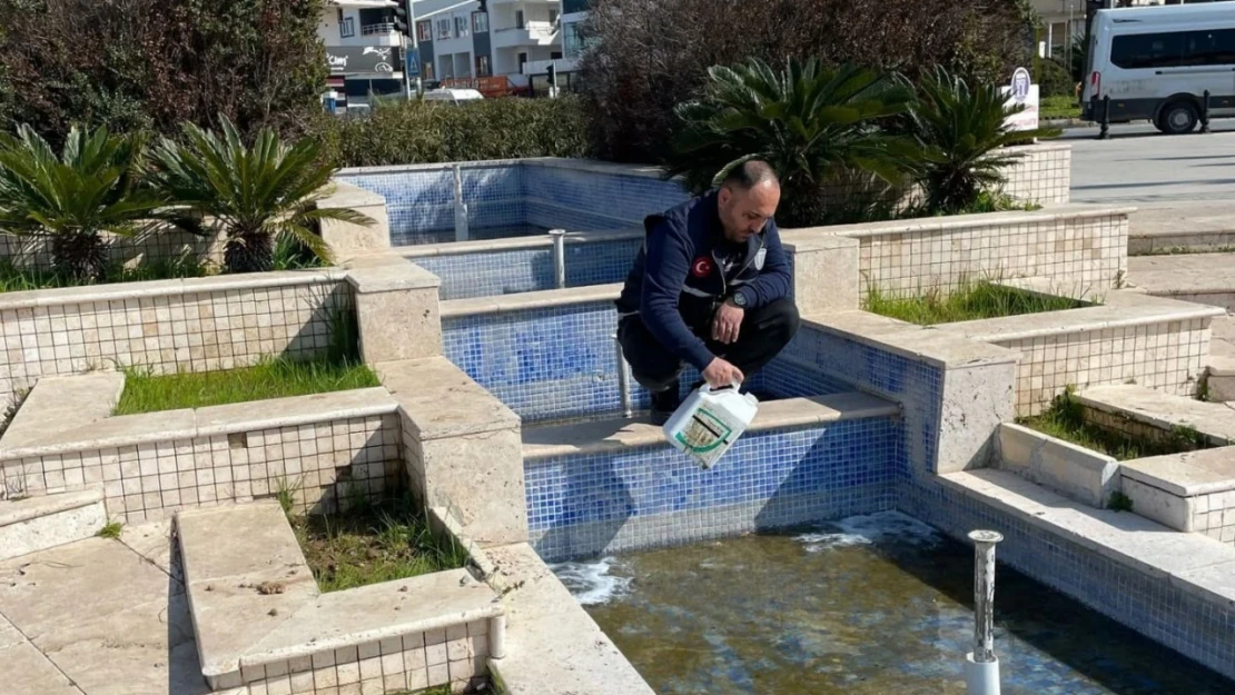 Didim'de süs havuzları bakıma alındı