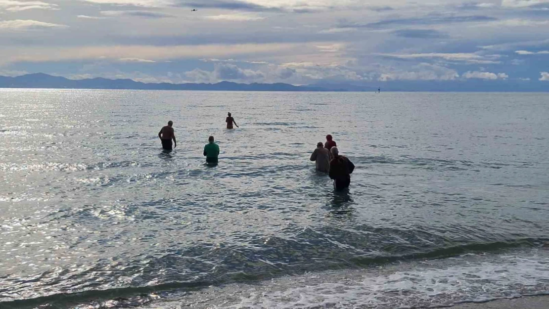 Didim'de yaşayan yabancılar sokak hayvanlarına yardım için denize girdiler