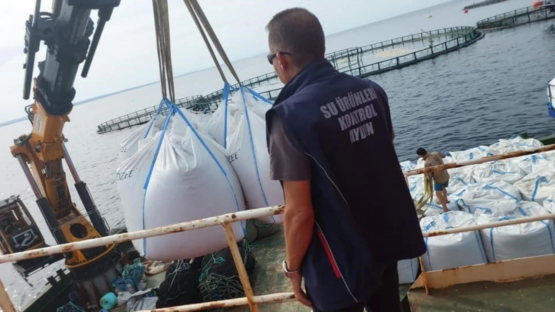 Didim'deki su ürünleri yetiştiriciliği denetim altında