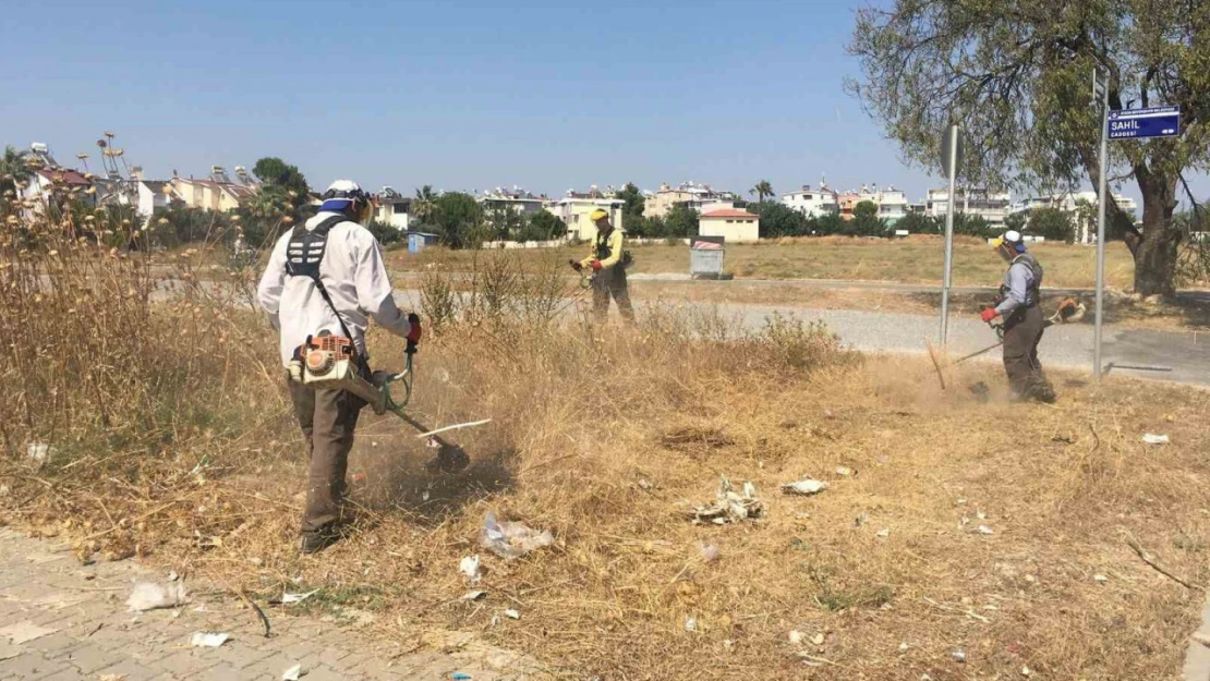 Didim genelinde temizlik ve yeşil alan bakımları yaz boyunca devam edecek