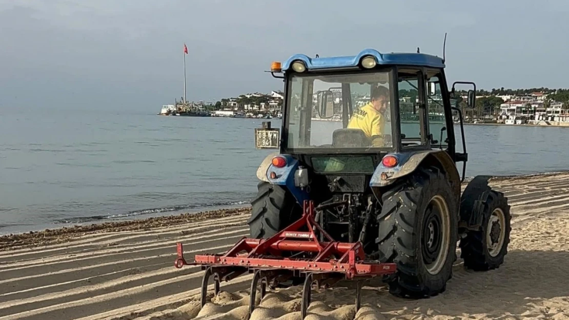 Didim sahilleri yaza hazırlanıyor