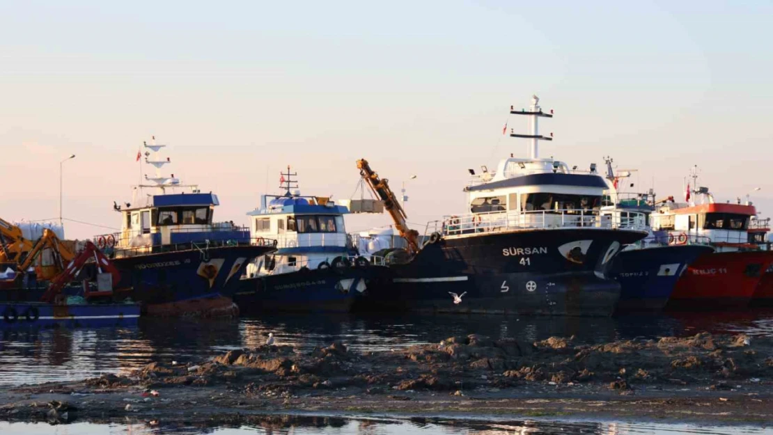 Didim Taşburun Balıkçı Barınağı'nın içler acısı hali görenleri şaşırtıyor