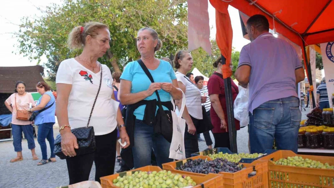 Didim Zeytin Festivali başladı