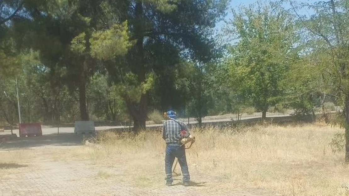 Dünyaca ünlü antik kentte kuru otlar temizlendi