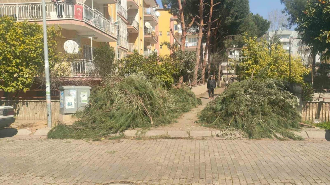 Efeler Belediyesi'nden budama atıkları uyarısı