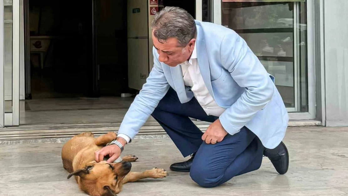 Efeler'de sahiplendirme kampanyası başladı, ilk desteği Başkan Yetişkin verecek