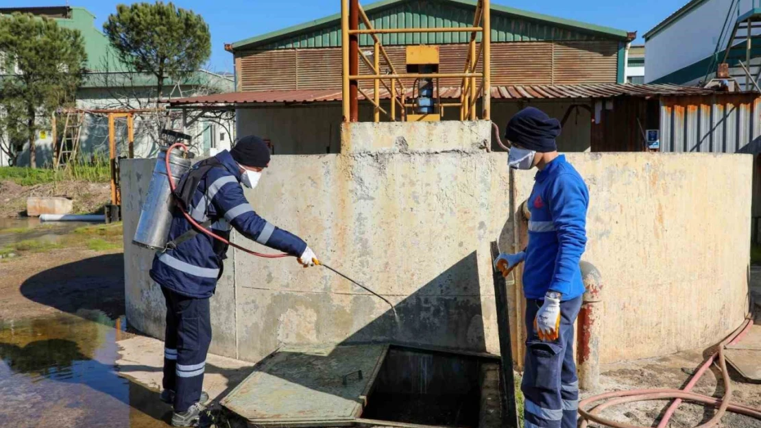 Efeler'de sineklerle mücadele 12 ay boyunca devam ediyor