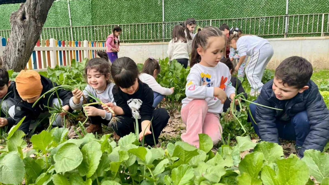 Efeler'de toprağa minik eller değdi