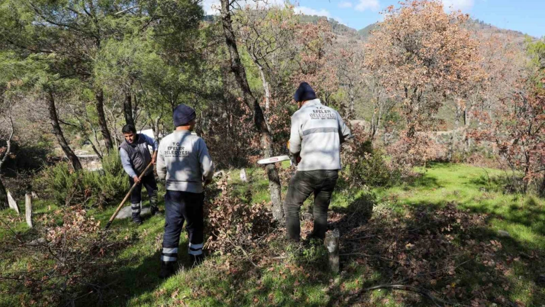 Efeler'den Gölcük Mahallesi mezarlığında kapsamlı çalışma