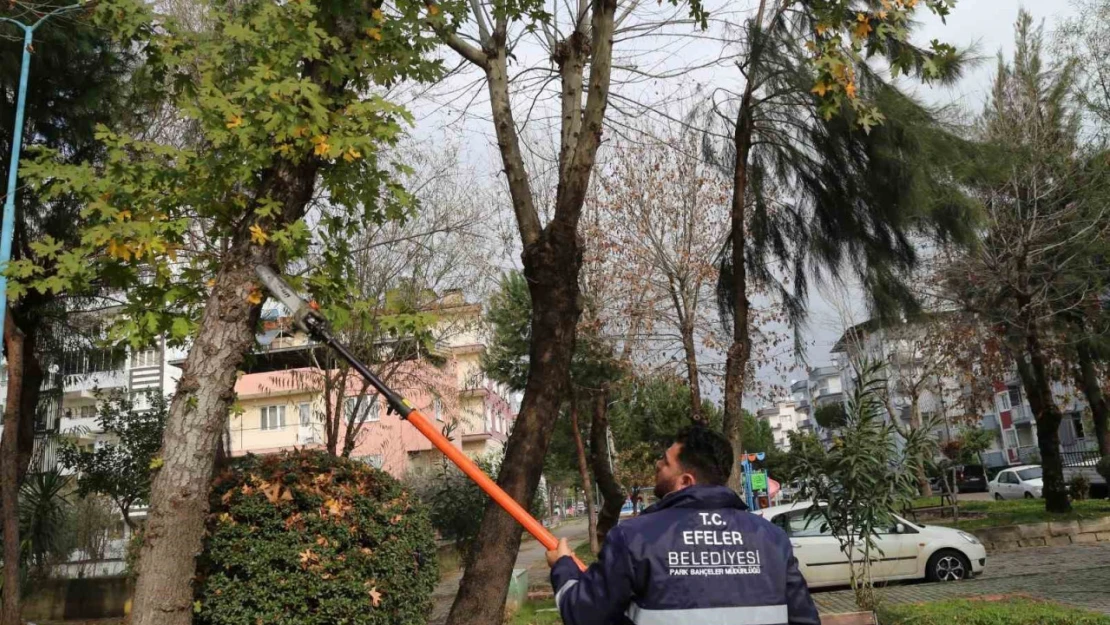 Efeler'in ekipleri park ve bahçelerde bakım çalışması yapıyor