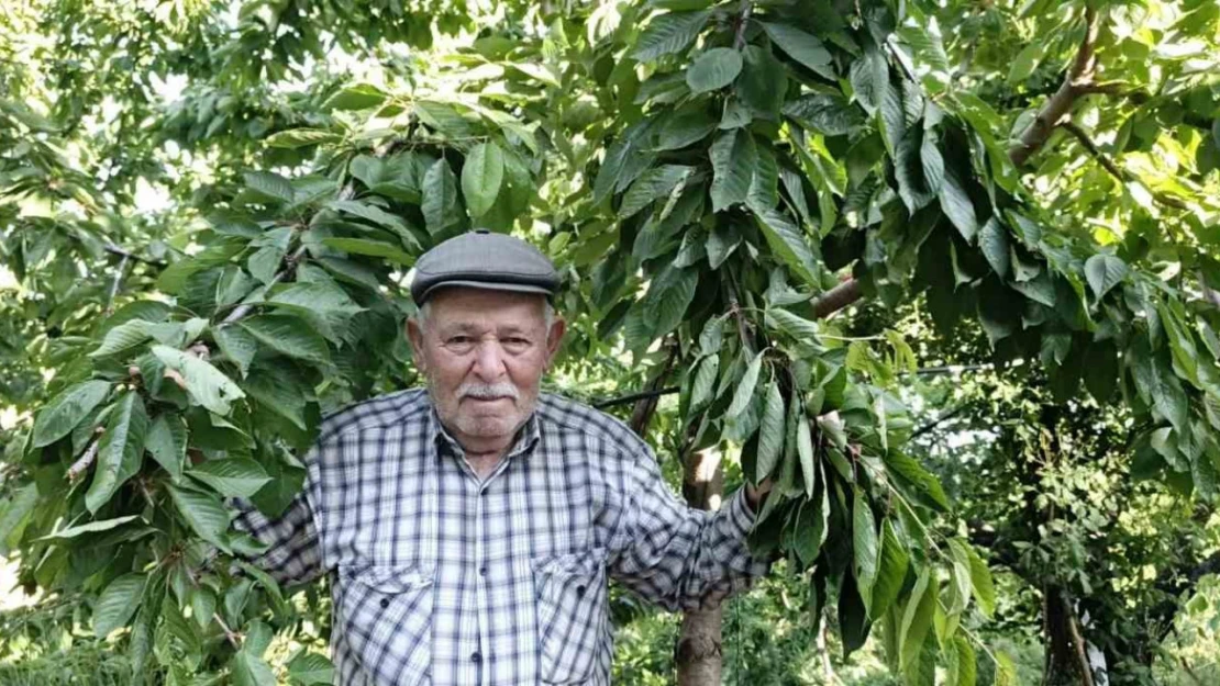 Ege bu yıl meyveye hasret