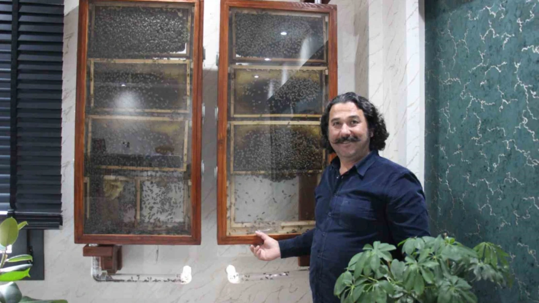 Fabrikasında 5 bin işçi ile 'bal' gibi çalışıyor