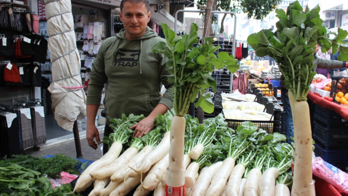 Faydaları saymakla bitmiyor