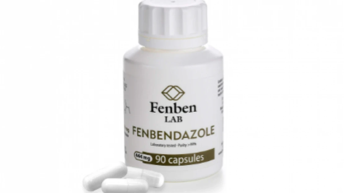 Fenbendazole Türkiye