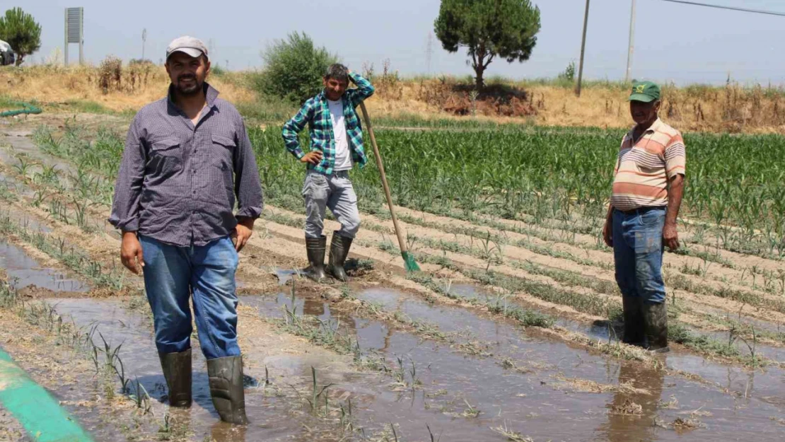 Gençlerin masa başı iş sevdası Türk tarımına alarm verdiriyor