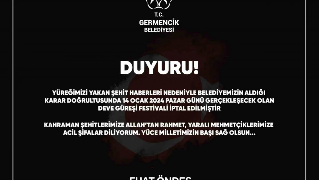 Germencik Deve Güreşi Festivali iptal edildi