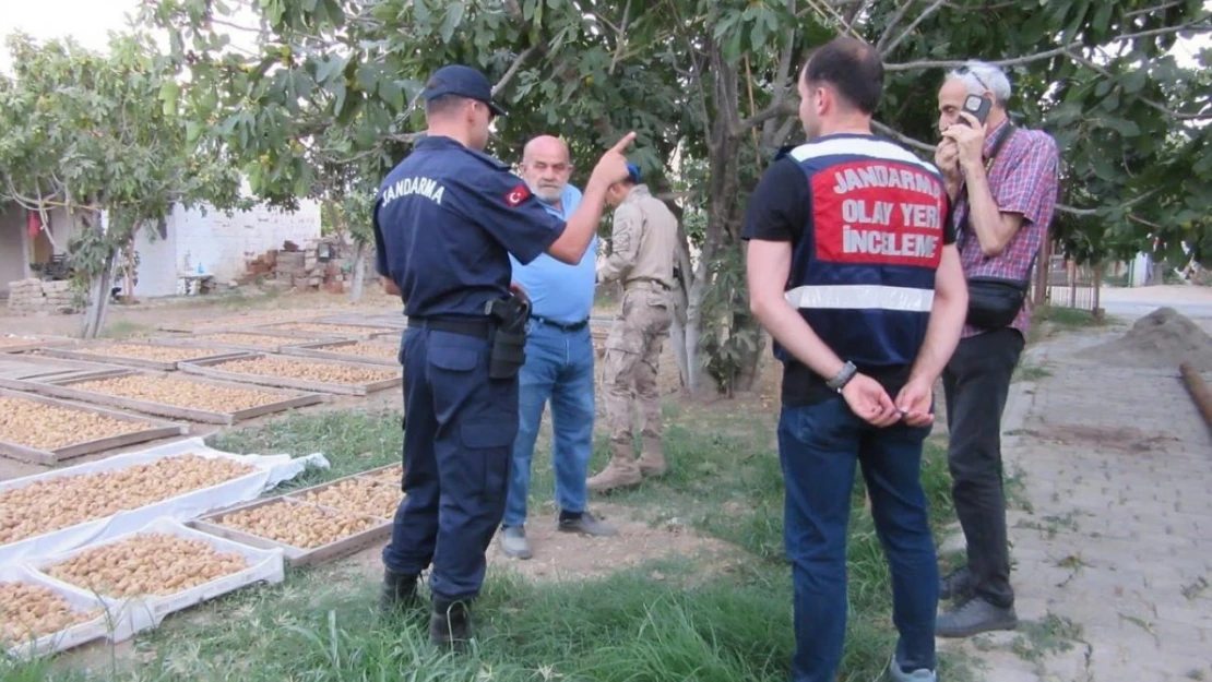 Germencik'te incir hırsızlığına karşı jandarmadan sıkı denetim