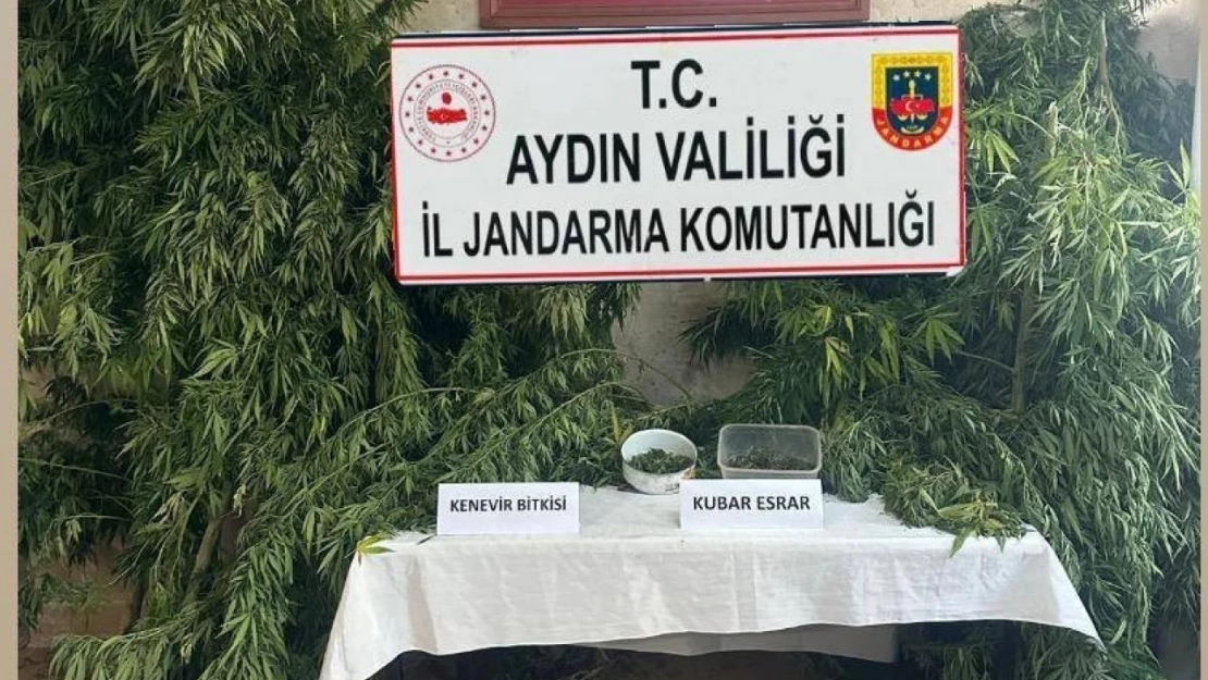 Germencik'te uyuşturucu operasyonu: 1 gözaltı