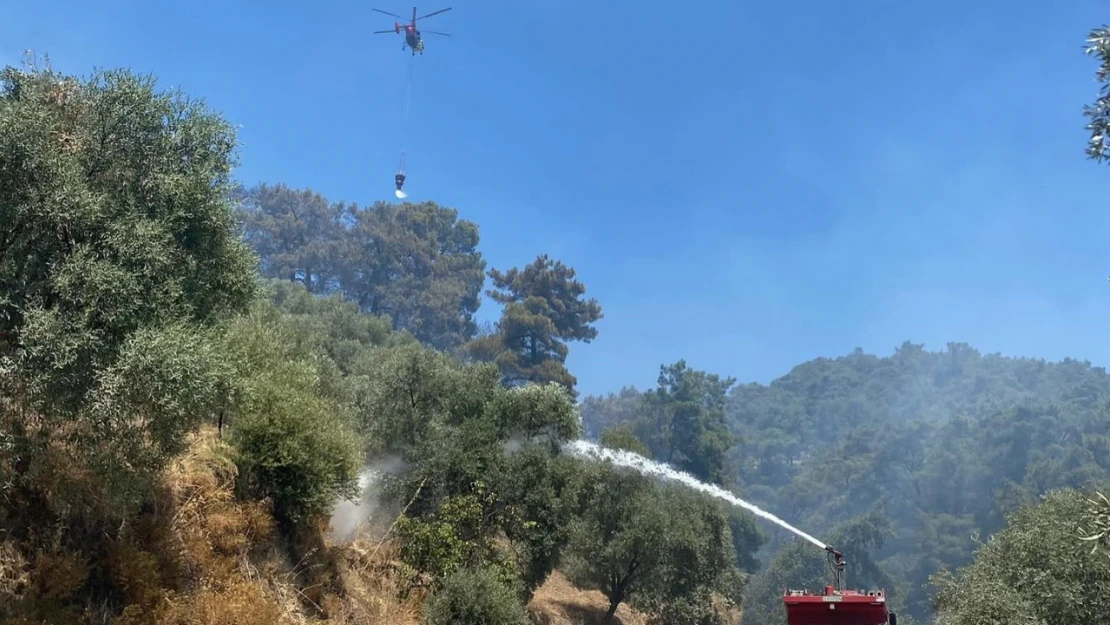 Germencik'teki orman yangını kontrol altına alındı