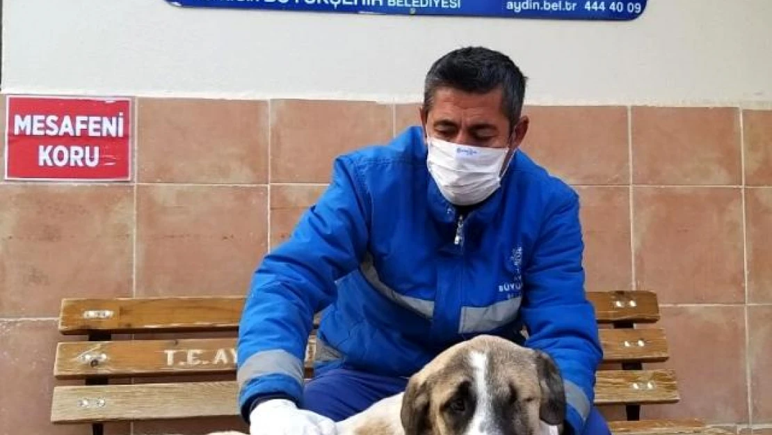 Görme engelli köpek, sıcak yuvasına kavuştu