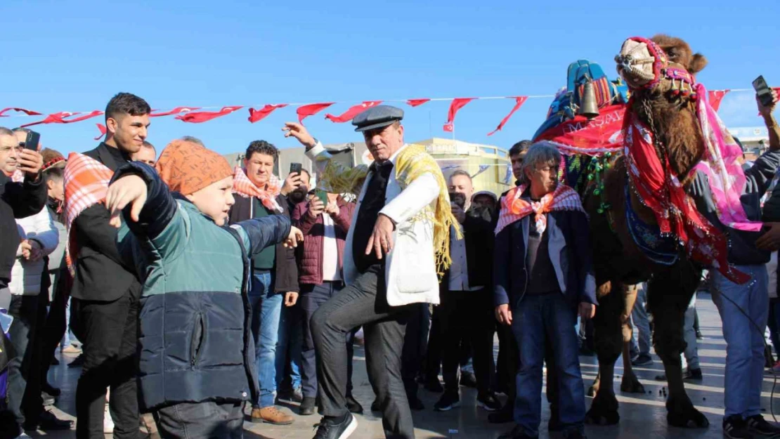 Görücüye çıkan develer ilginç görüntülere sahne oldu