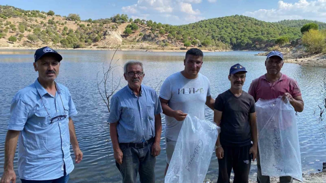 Gözkayası Göleti'ne sazan yavruları bırakıldı