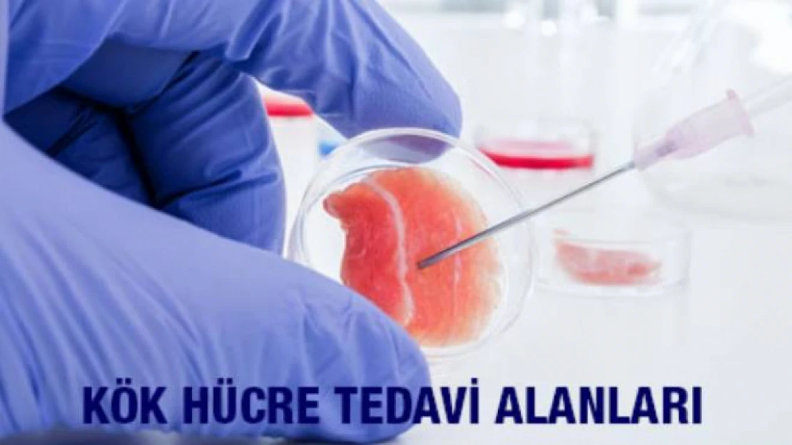 Greentech Biotechnology ile Kök Hücre Tedavi Alanları