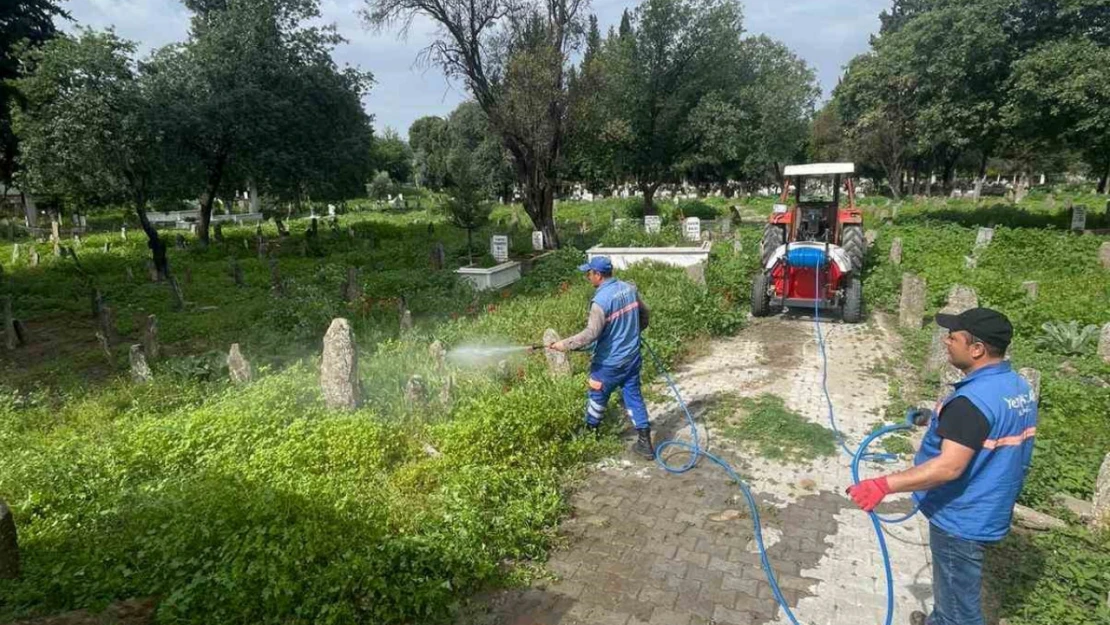 Hamzabali Mezarlığı bakıma alındı